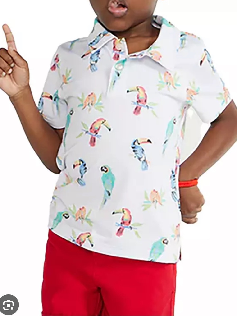 Chubbies Toddler Boy Polo
